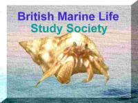The British Marine Life Study Society Glaucus